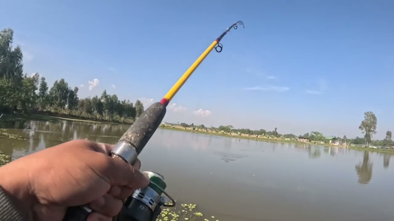 Patsoi khaidem 2nd part Rs1600