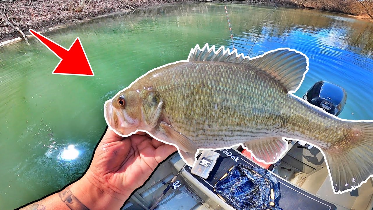 Fishing the Ohio River for Spotted and Smallmouth Bass! (Jon Boat Bass Fishing)