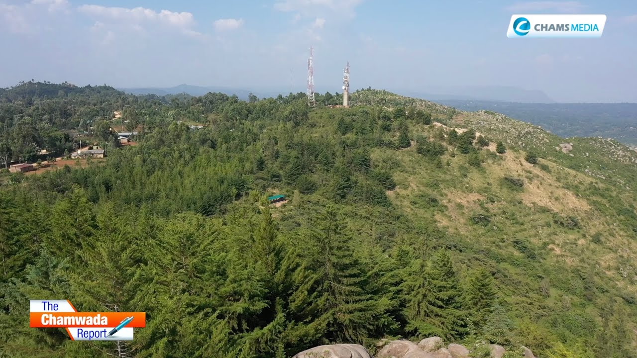 Maragoli Hills Reaforestation Takes Shape as Kenyans Abroad Support the Restoration