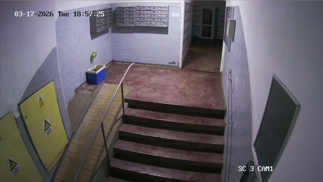 stairwell