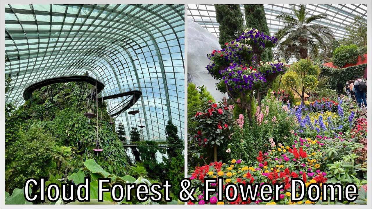 Singapore's Cloud Forest and Flower Dome: Worth It?