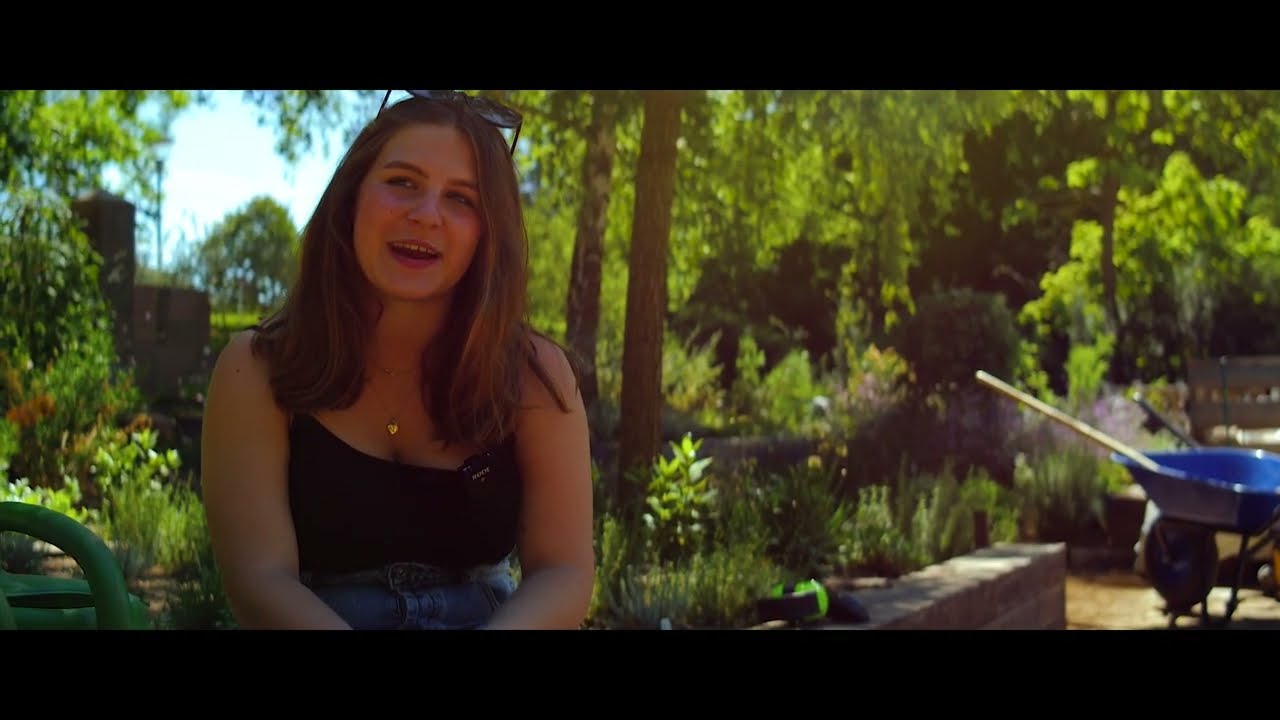 BUGA 23 – Garden of Twin Cities: International Summercamp in Mannheim