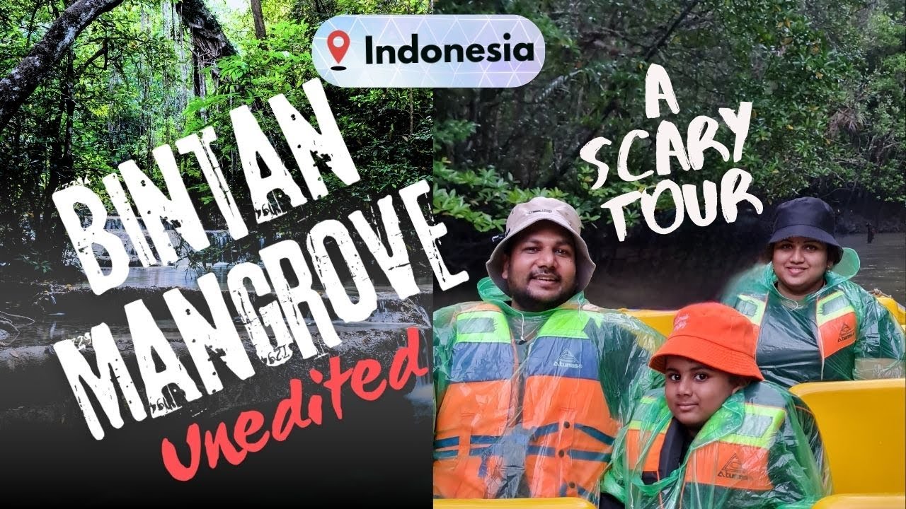 Bintan Mangrove Tour Unedited 4K Video | Indonesia | Singapore vlogs