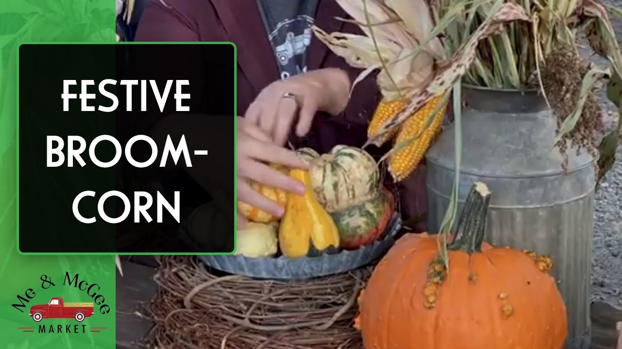 Festive Broom-Corn | Fall Decor (2020)