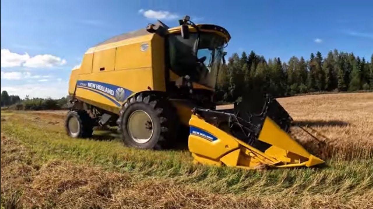 Puinnit käyntiin, Tuleeko satoa?