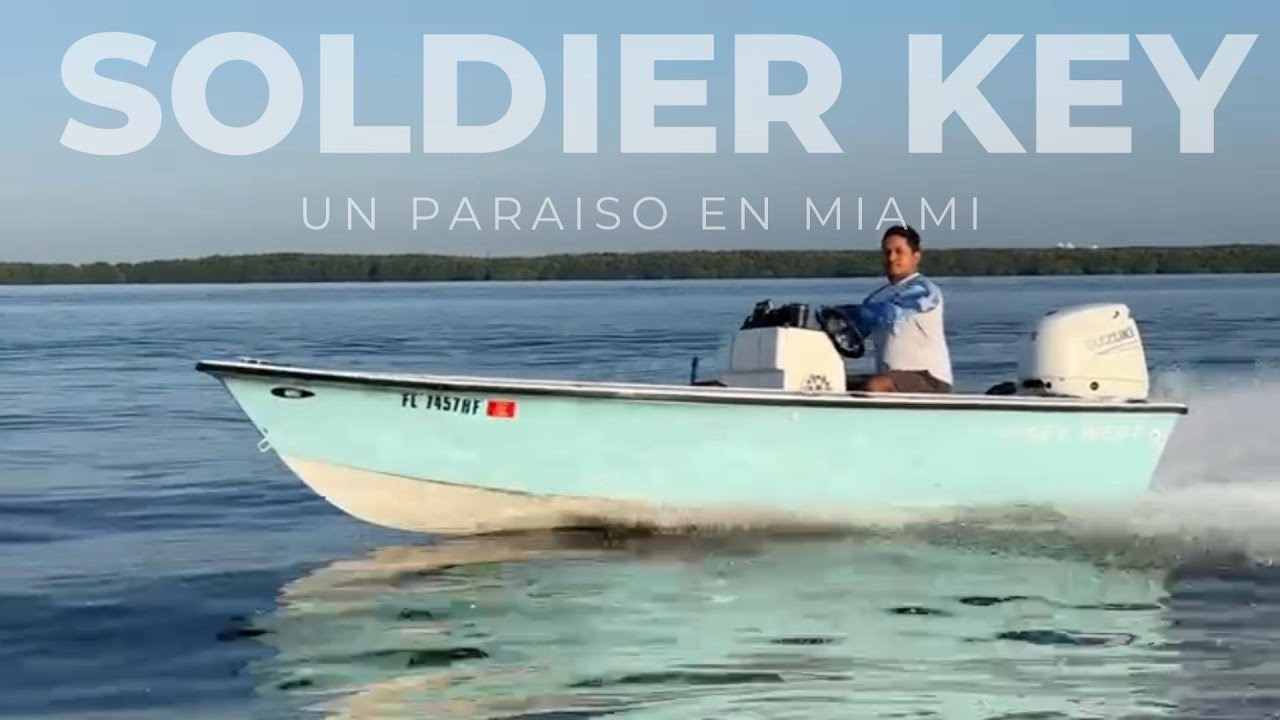 Soldier Key llena de fauna marina 😎 Una isla paraiso en Miami