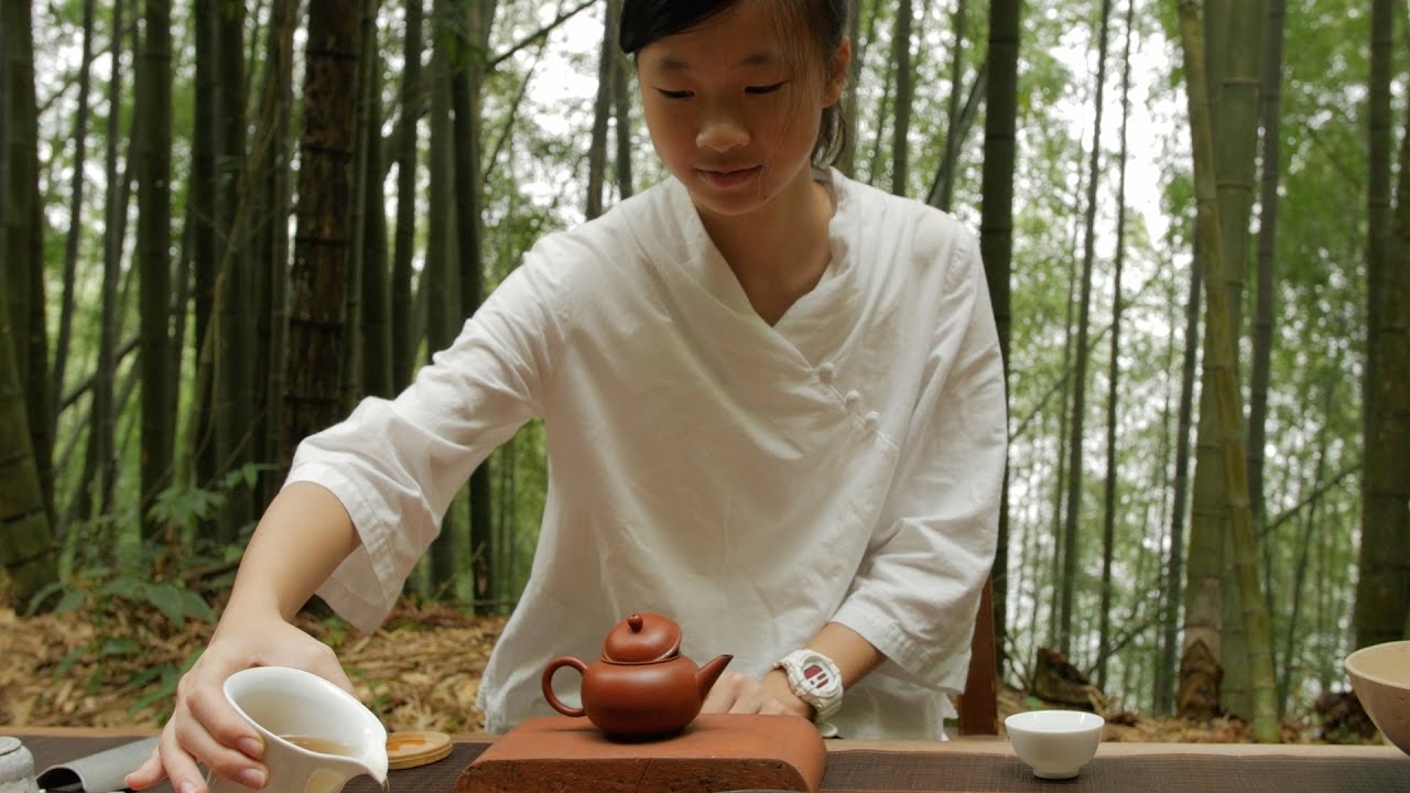 Taiwan Tea Tour