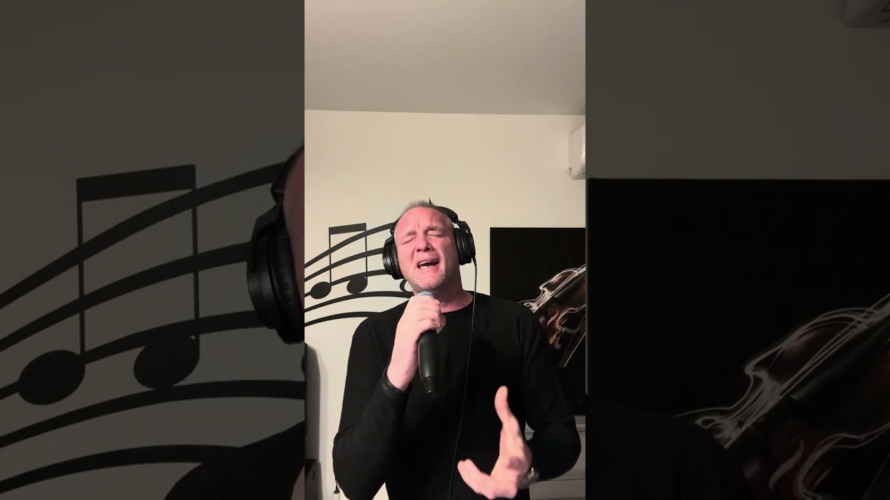 Radu Palaniță-Che sara(Cover)