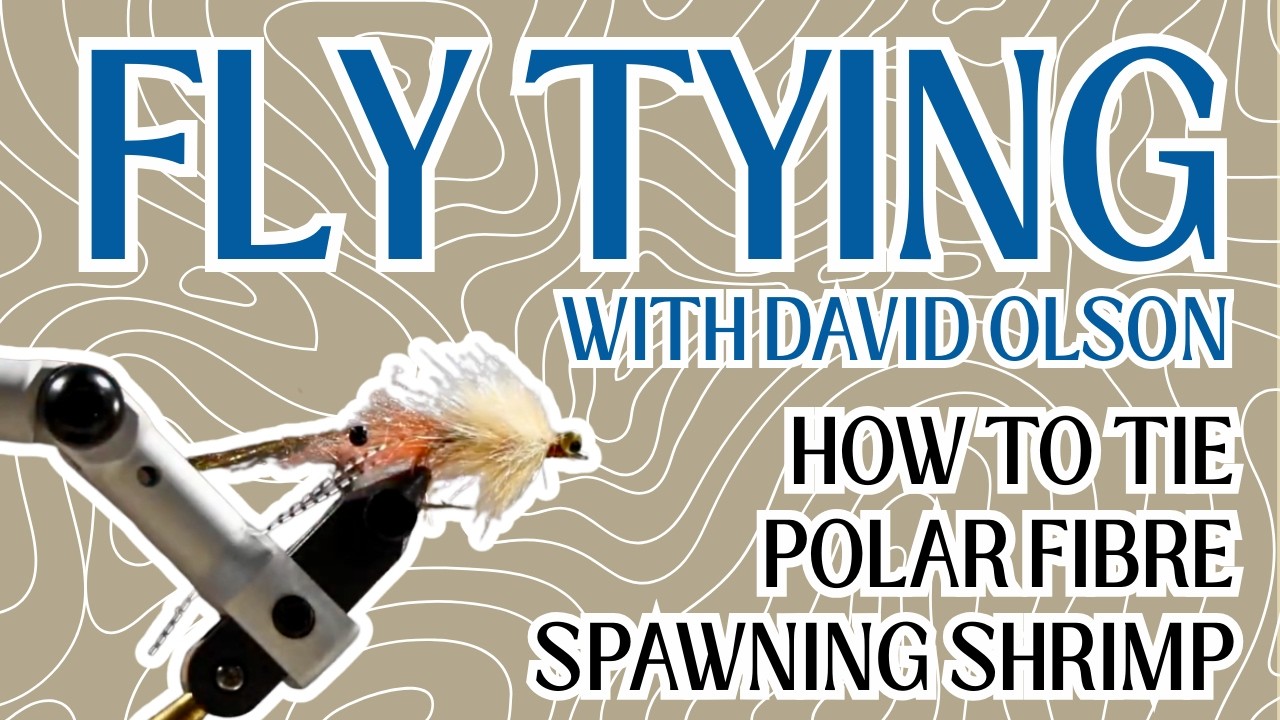 POLAR FIBRE SPAWNING SHRIMP: FLY TYING WITH DAVID OLSON