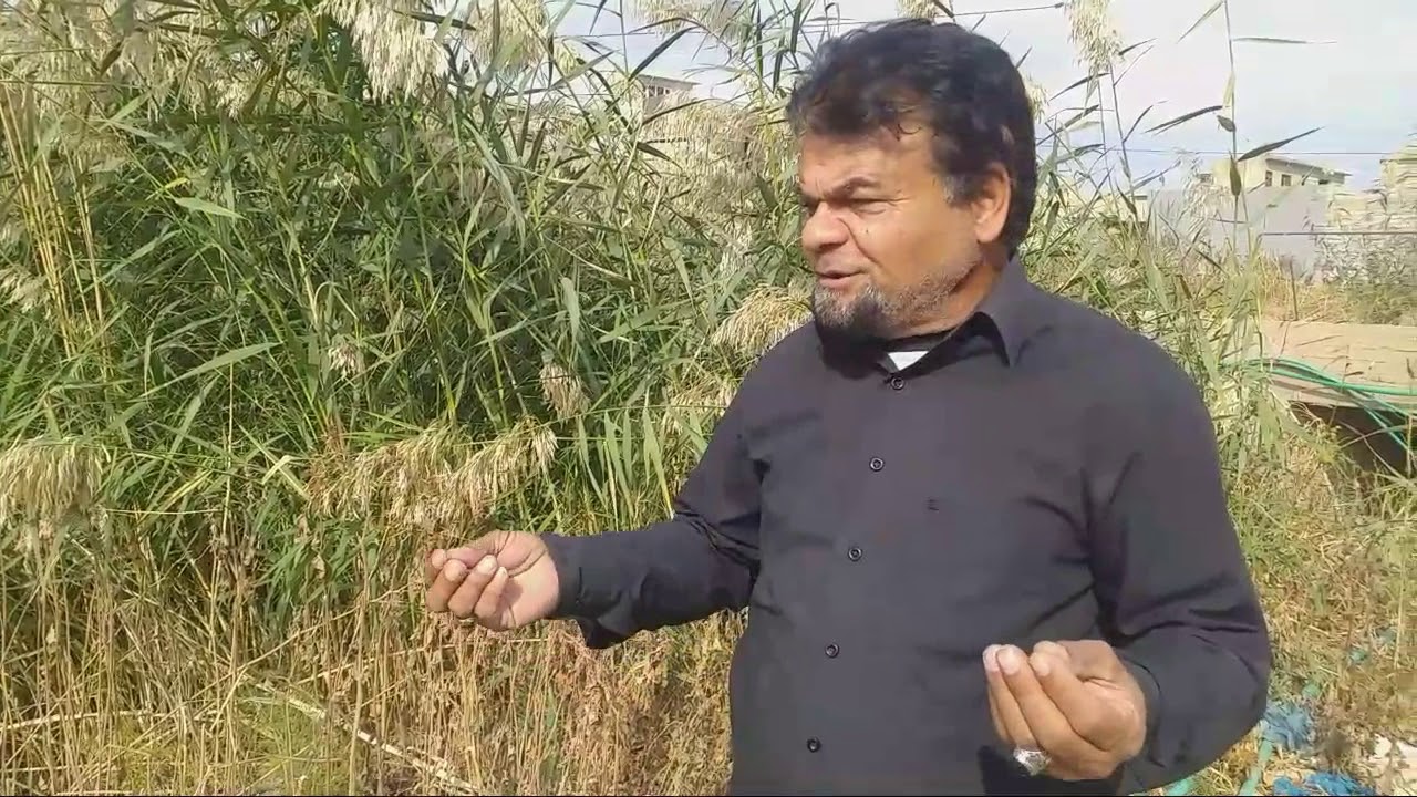 ١٣ نوفمبر ٢٠٢٠