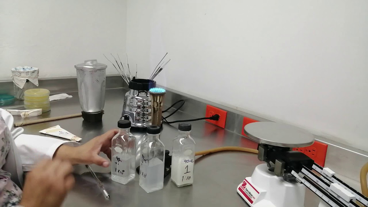 DETERMINACIÓN Y AISLAMIENTO DE Staphylococcus aureus