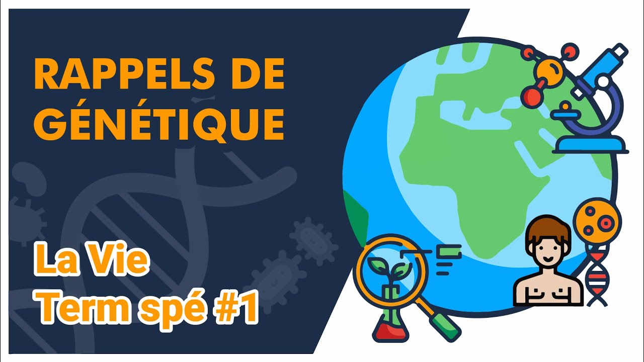 Rappels de Génétique  - SVT - LA VIE Term spé #1  - Mathrix