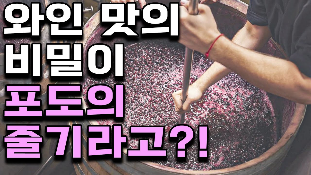 포도줄기가 와인에 미치는 영향!'홀클러스터' 란 무엇인가?