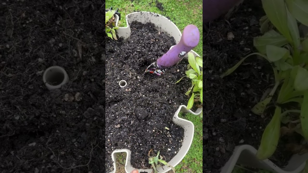 Garden Session: Amending Greenstalk #4 👩🏾‍🌾🐛🐸 #greenstalkgarden #soilamendments #gardening