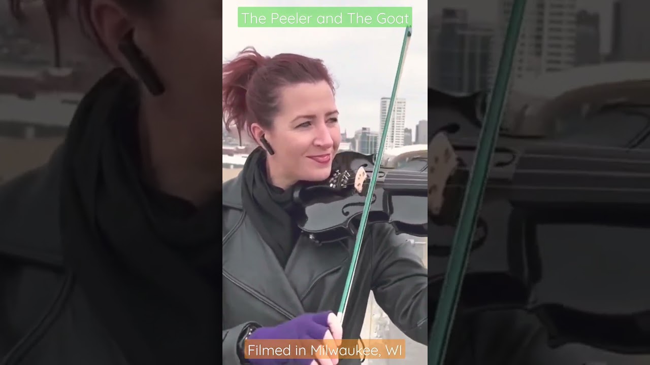 Fiddle performance of 