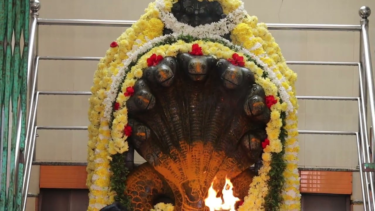 Shree Vadanbailu mukthi naga Swami maha mangalarati date 23-02-2026🌸🌸🏵️🏵️💐💐🌹🌹🙏🙏🌼🌼🌻🌻