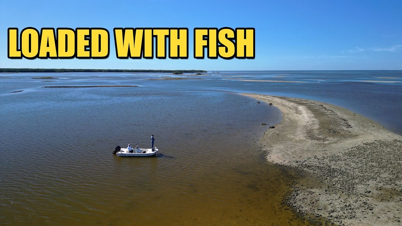 Fall Redfish & Trout on Soft Plastic Lures (Inshore Slam)