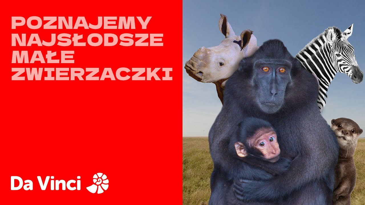 Poznajemy najsłodsze małe zwierzaczki