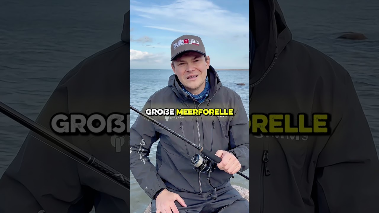 Bullseye STREAM&SEA 285 9-36g X-Serie für Meerforelle, Seeforelle und Lachs #bullseyefishing