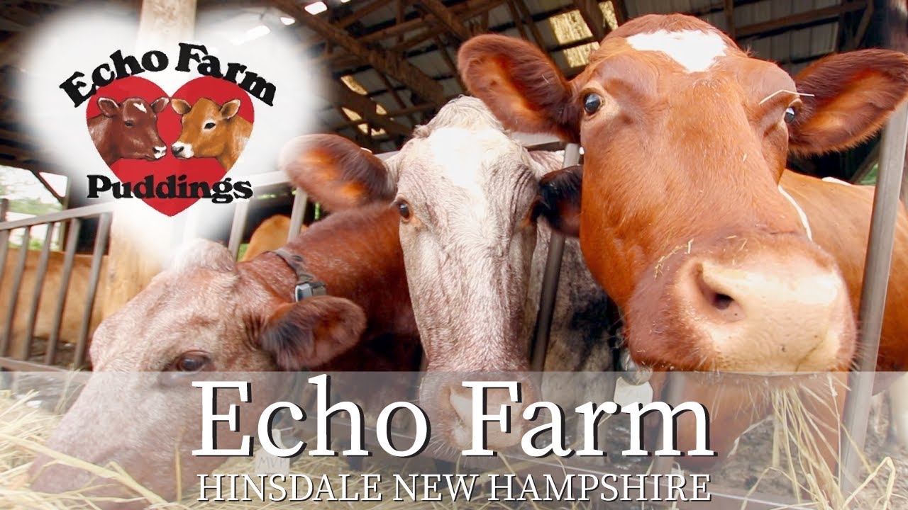 Echo Farm - Hinsdale New Hampshire