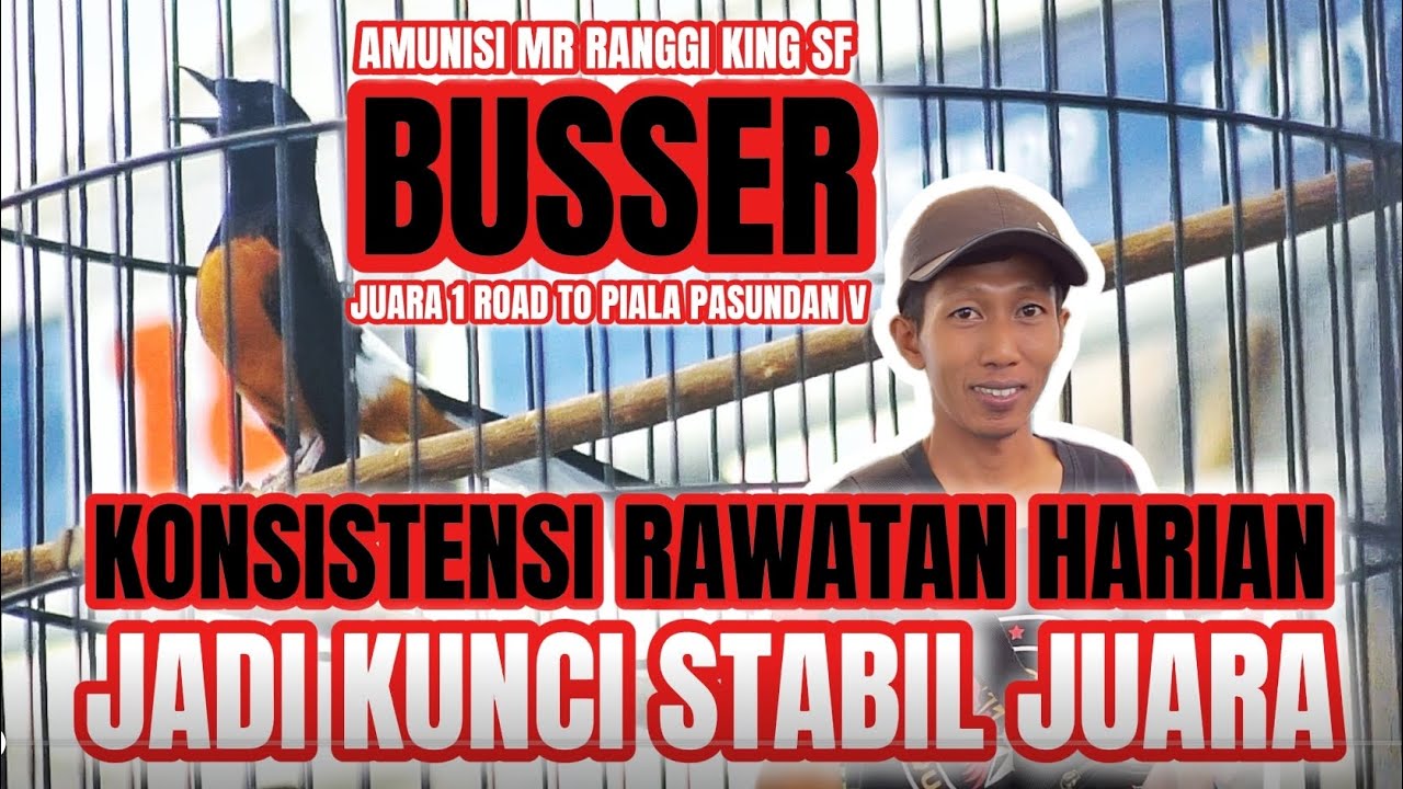 KONSISTENSI RAWATAN HARIAN JADI KUNCI JUARA | MURAI BUSSER 1 ROAD TO PIALA PASUNDAN V