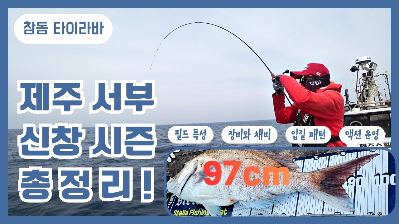 참돔타이라바 - 서부권 신창 대물시즌에 대한 모든 것! (필드특성, 장비, 채비, 입질패턴, 액션운영)