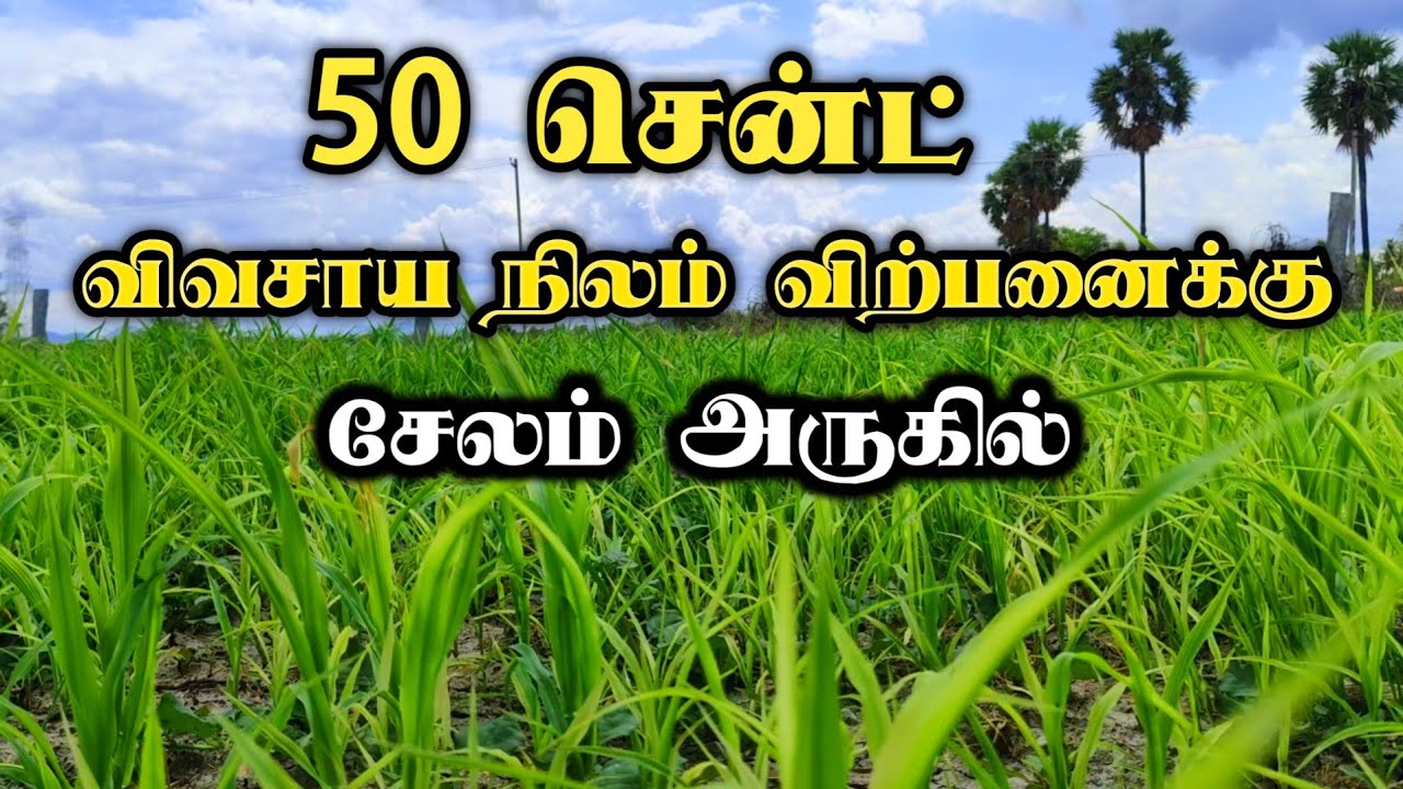 The Best Budget Farm Land in Salem? | 50 Cents for Sale near Winstar Singapore City!