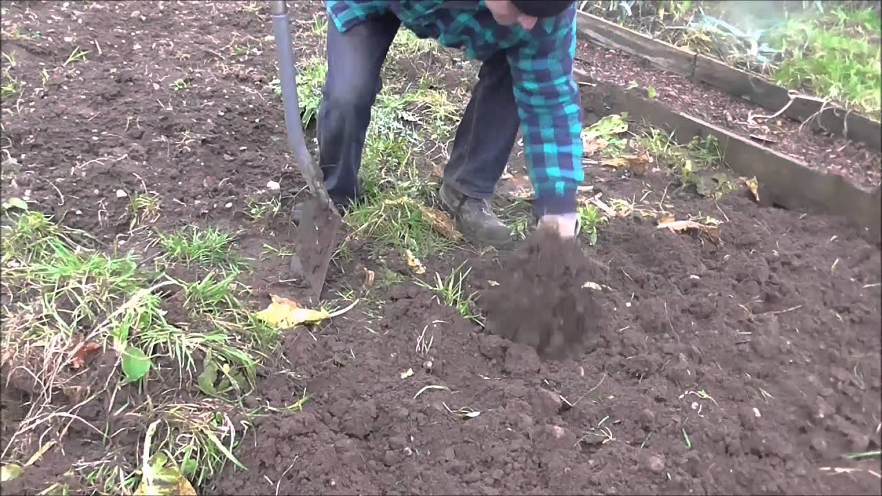 Allotment Grow How - Digging The Plot #gardeninguk #ukgardening
