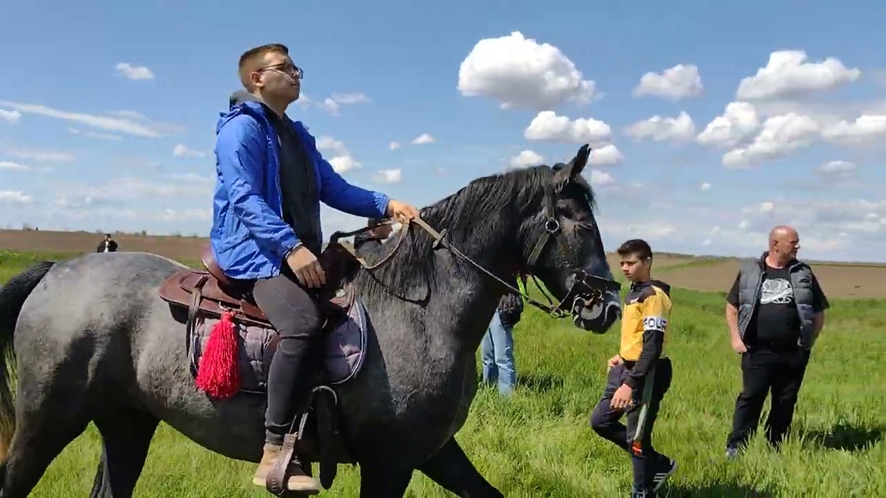 Fijakerijada Crepaja 2022 ( Kratak Video ) @BebaPlace #shortvideo #crepaja #fijakerijada #clips