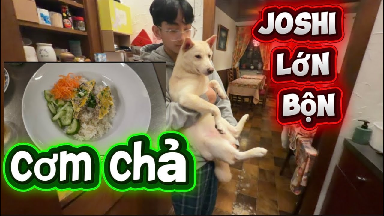 Nhà hàng ở pháp/Tony tập lái xe