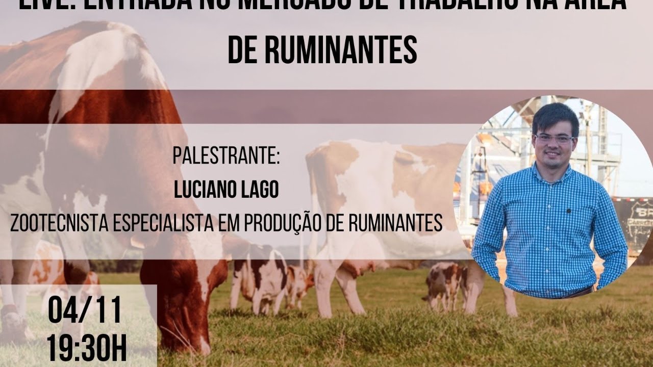 1º Zootalk - Entrada no Mercado de Trabalho na Área de Ruminantes com Luciano Lago