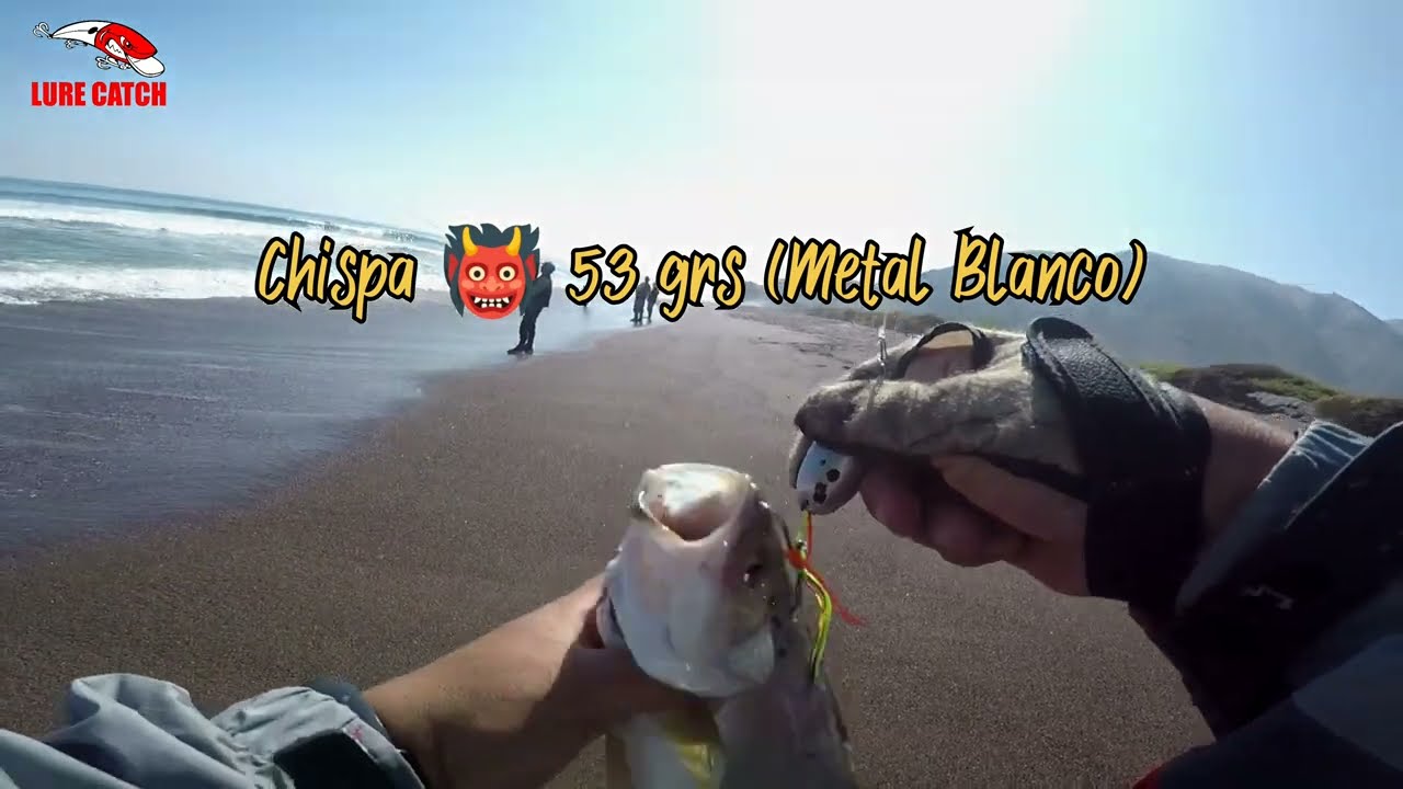 Pesca de Corvinas en la hermosa Caleta Camarones - Arica