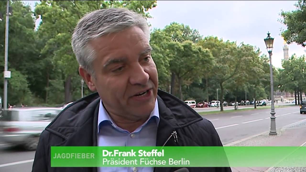F&uuml;chse Berlin schaffen Sensation-Pr&auml;sident Dr. Frank Steffel im Talk