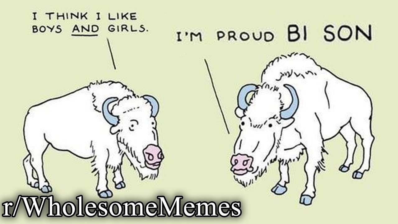 r/WholesomeMemes | he gotta bi son