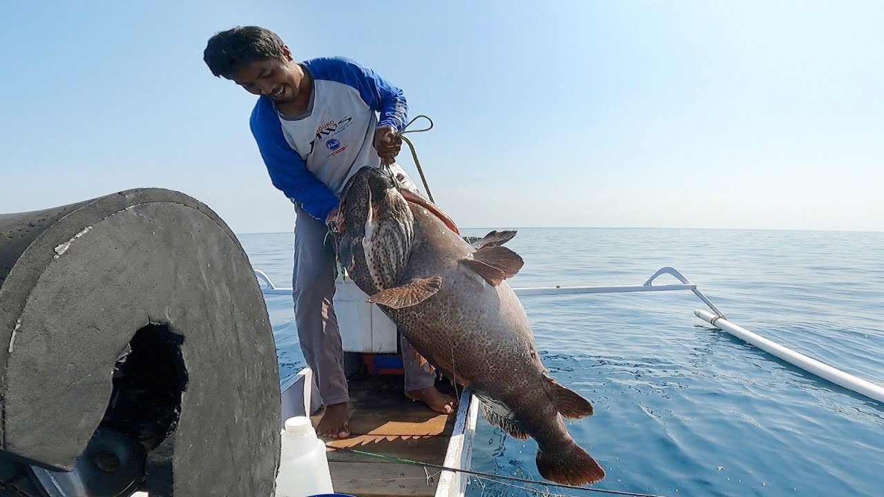 REKOR PRIBADI JIGGING TARIKAN MONSTER KERAPU 36,5 KG.
