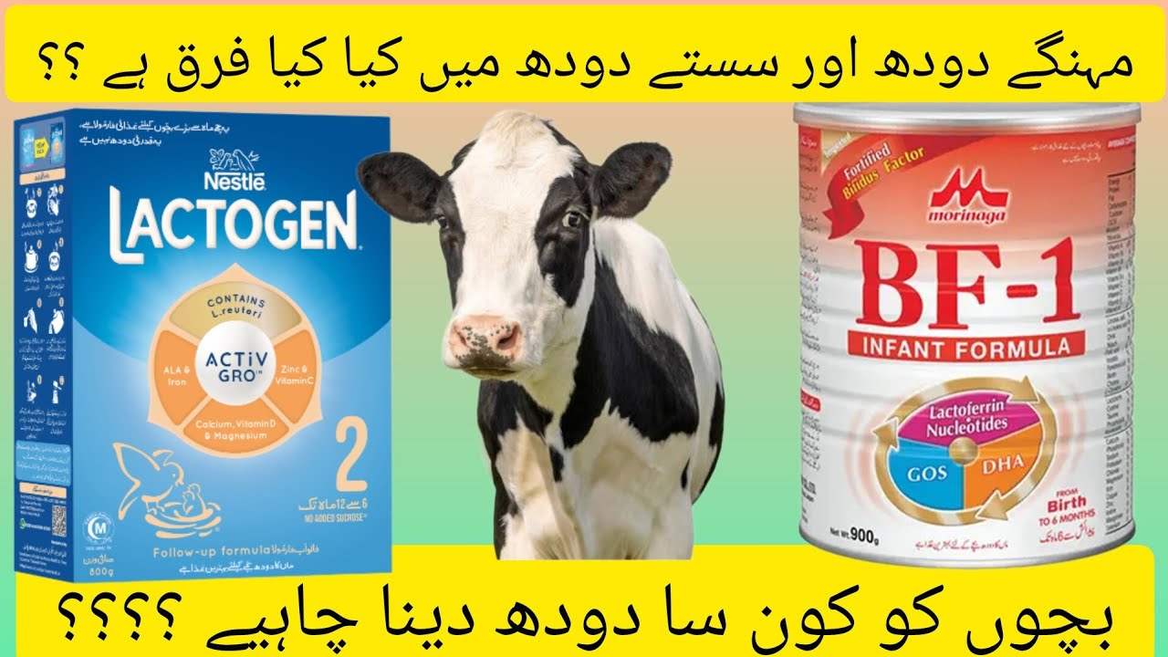 Lectogen milk for newborn baby/ cow milk kB daina chaiay / lectogen vs mahnga dhoad