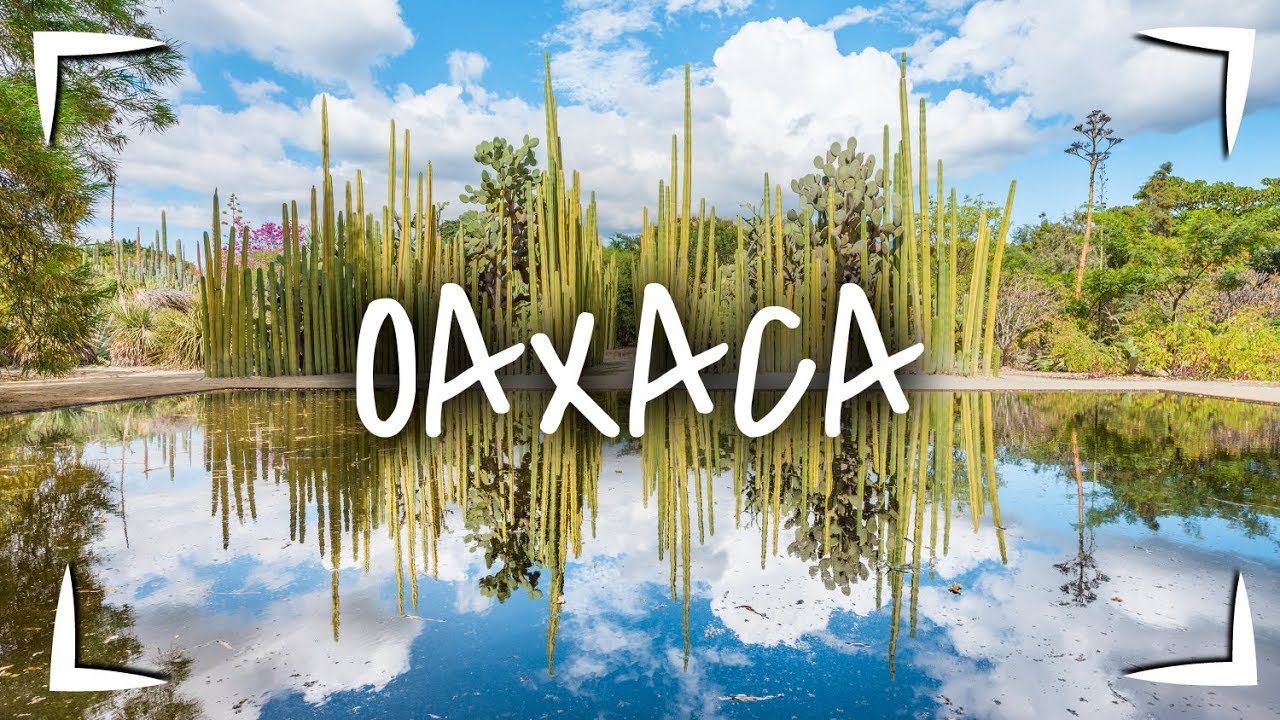 OAXACA ► QUE HACER, VISITAR y COMER en 2 - 3 días  🔴 TOUR GASTRONÓMICO MUY COMPLETO 🐖