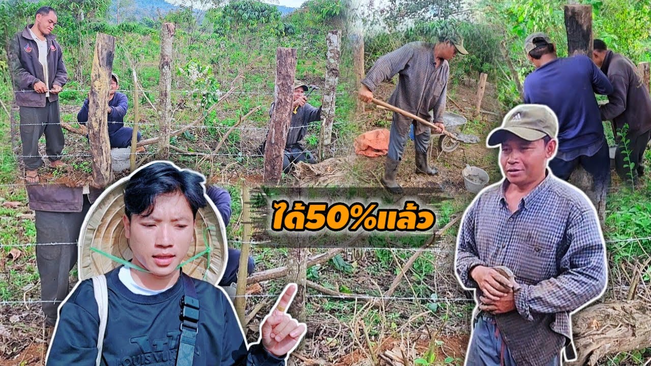 ดำเนินการต่อ ได้ 50% ล้อมรั้วสวนกาแฟบ่าวเตียง11 มีนาคม ค.ศ. 2026