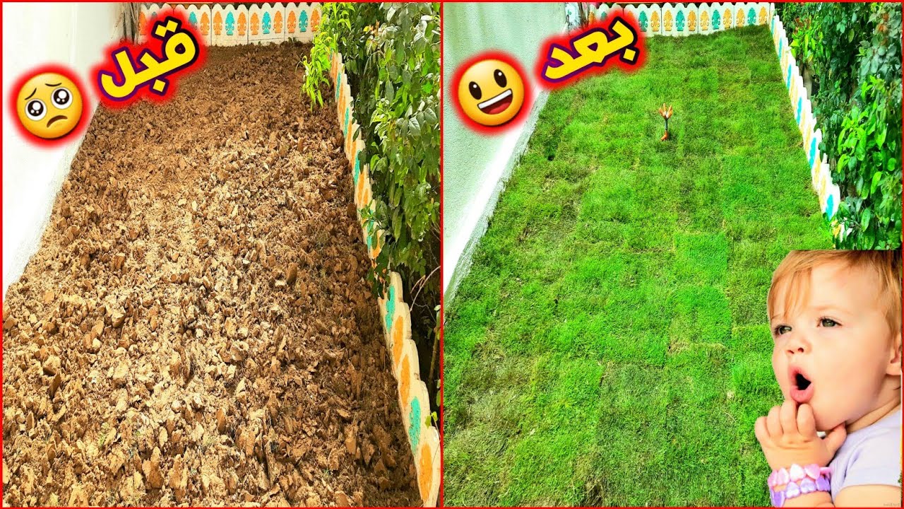 طريقة زراعة الثيل الصحيحة ✅ بسبب اهمالي مات 😢 حان وقت التغيير 🤫