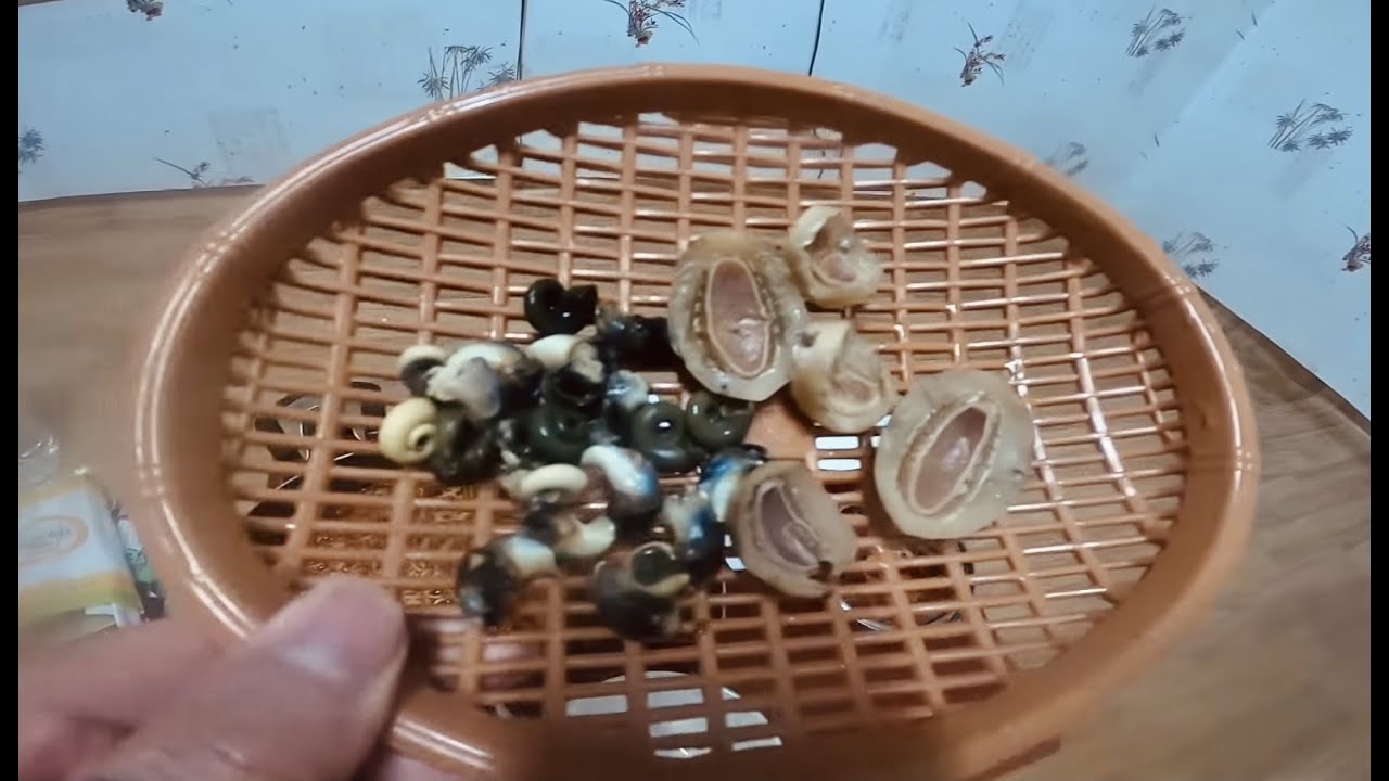 사람없는 여수 섬여행 고둥 문어 잡아 라면 먹기