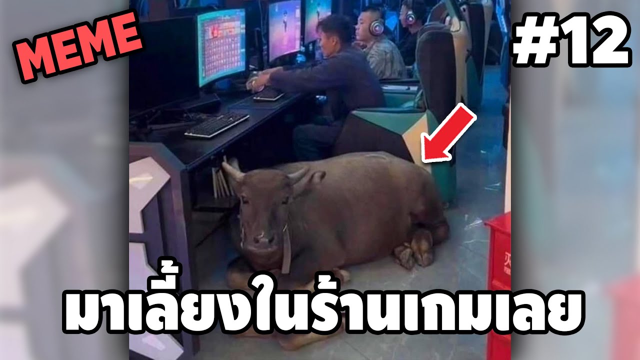 ภาพนี้ก็ฮาเหมือนกันนะเนี้ย #12 SS9 [ พากย์นรก MEME.EXE ] | easy boy