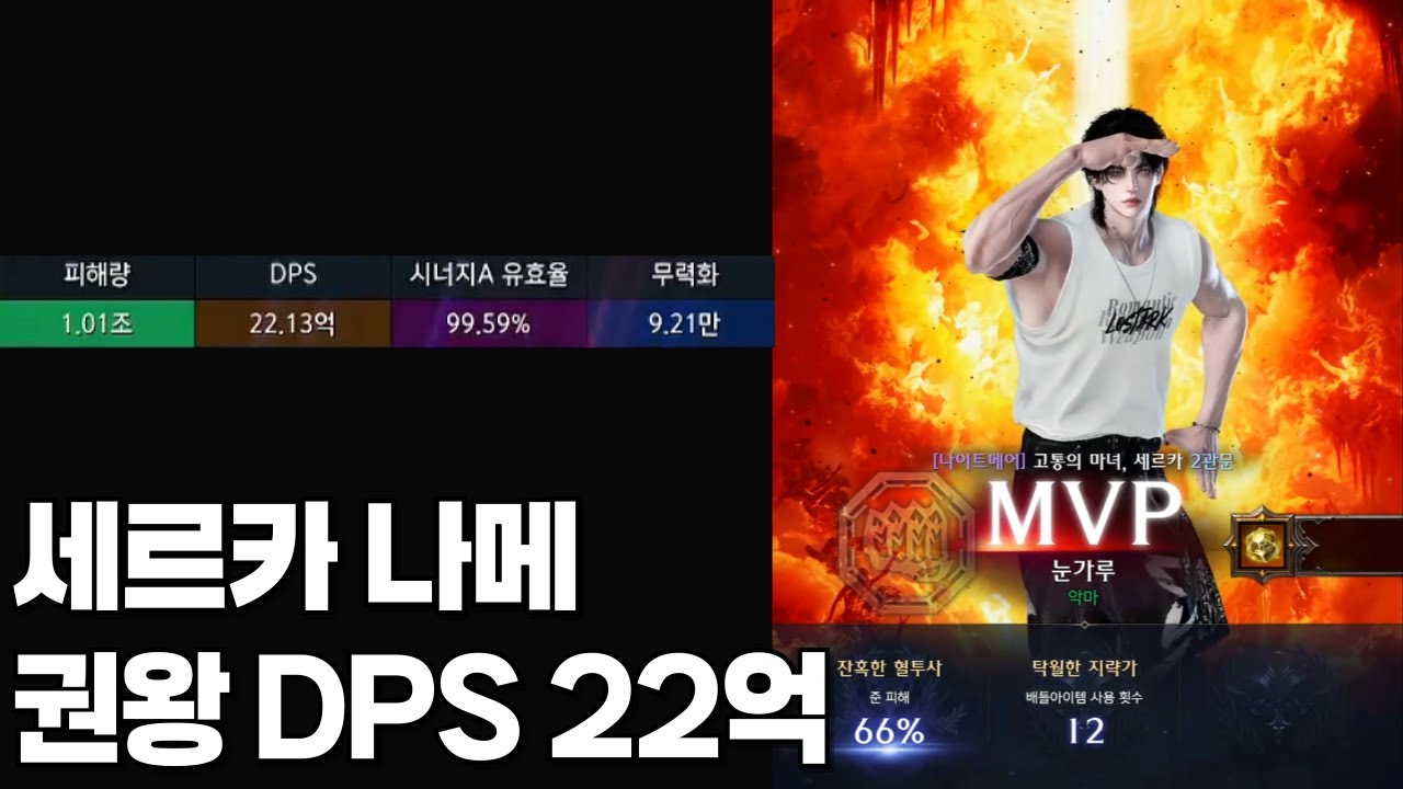 권왕 세르카 DPS 22억 [로스트아크]