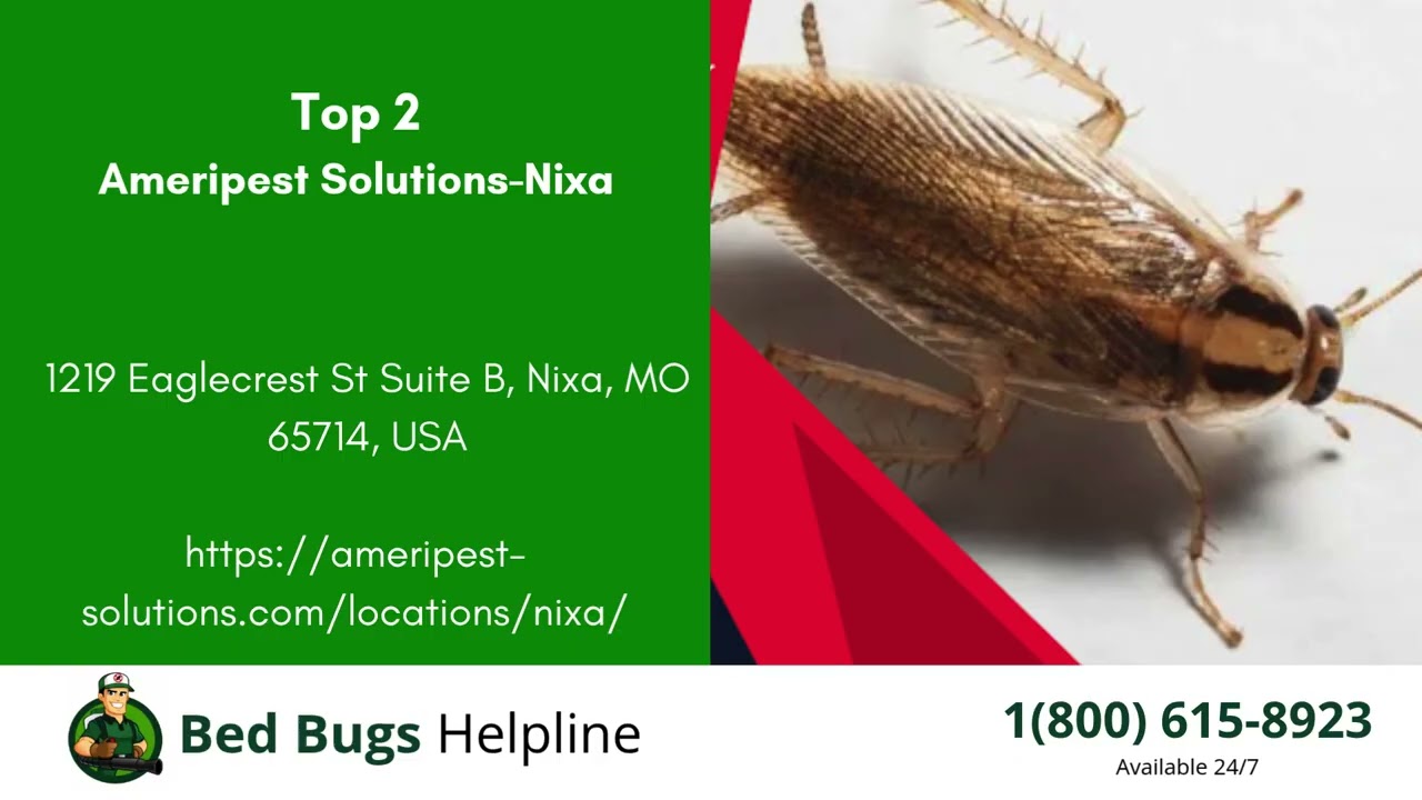 Top 3 Bed Bug Removal in Nixa