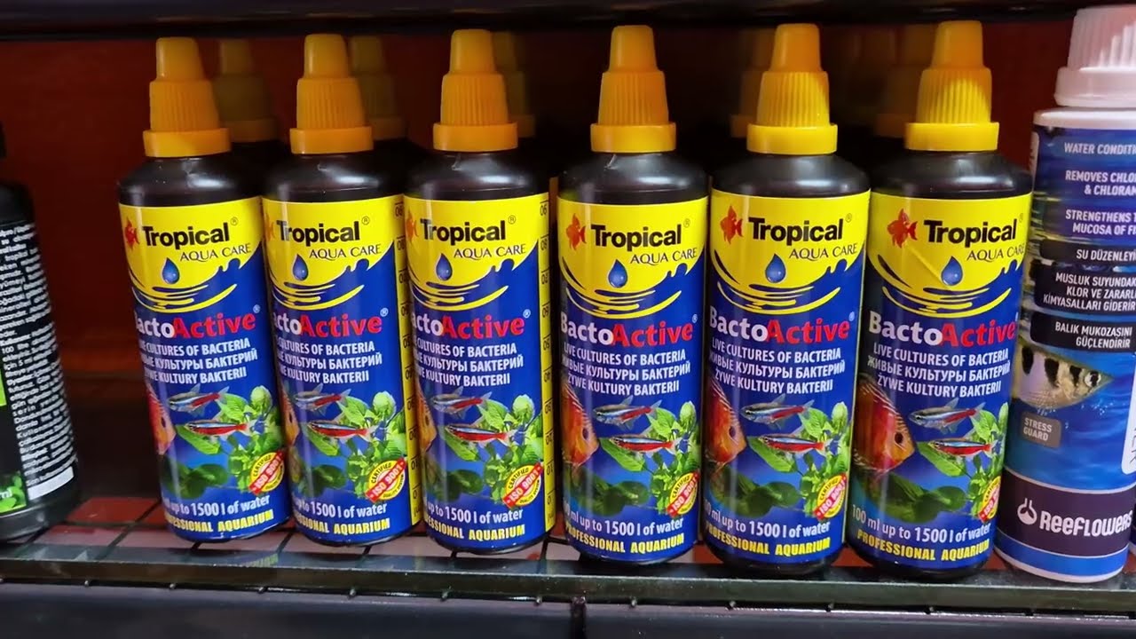 Akvaryum Vlog #536 (Bolca Malzeme Geldi)