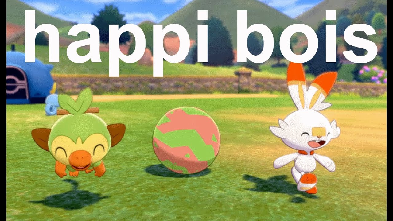 the galar starter camp...