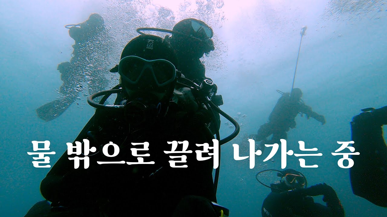 공기통 분리되기 직전 구조된 썰 풉니다.. 🥲스쿠버 다이빙을 실력있고 다정한 사람들과 해야 하는 이유. 울릉도 브이로그 3편 (가재굴, 물새바위, 거북바위) with 다이브플로우