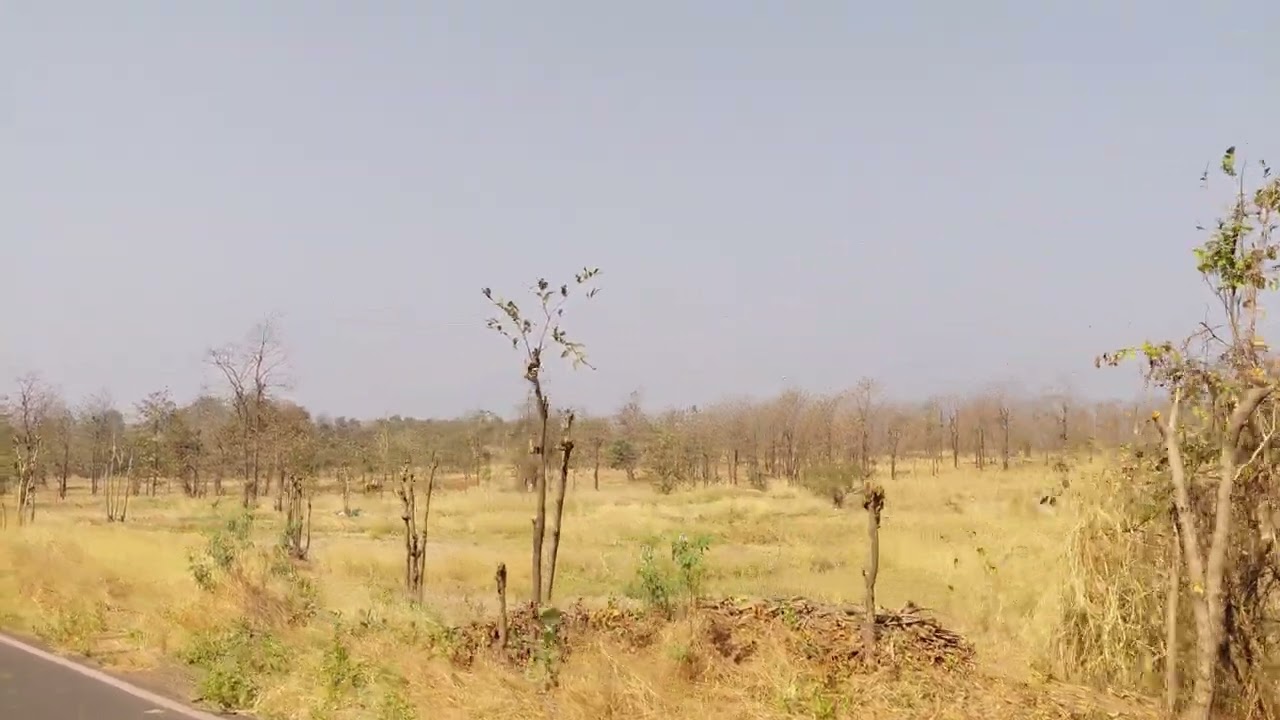 সুন্দর একটি ভিডিও