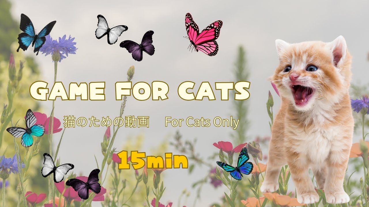 Vol.5 For Cats Only 🦋Flying Butterflies (15min Cat Game Video)猫専用｜舞う蝶々を追いかける映像 15分