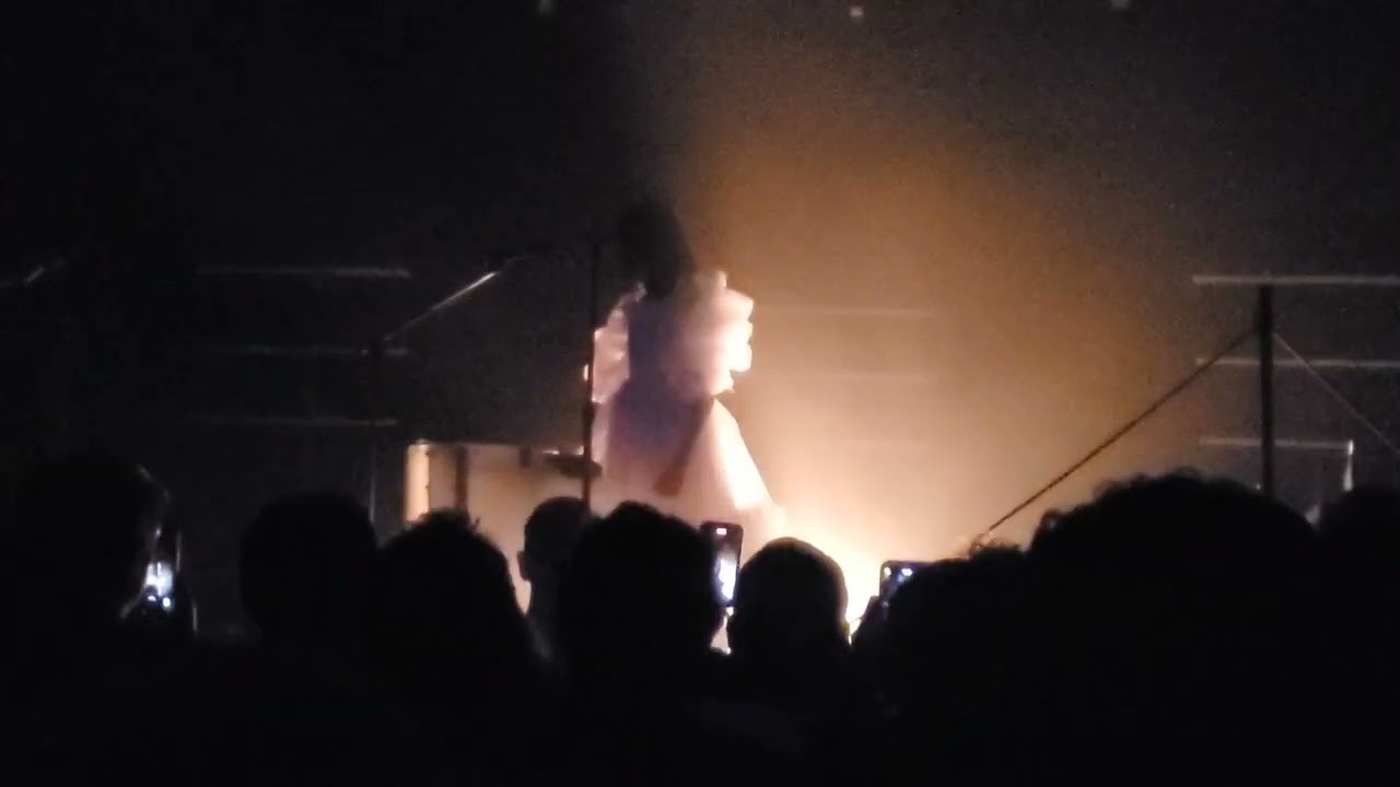 Allie X - Bitch | Girl With No Face Tour Live in Los Angeles 6.22.24
