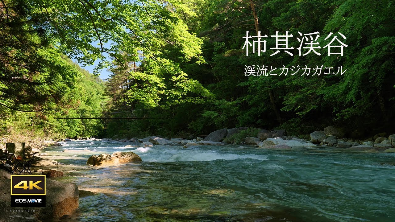 ４K + 自然環境音　木曾の景勝地、柿其渓谷とカジカガエルの美しい鳴き声